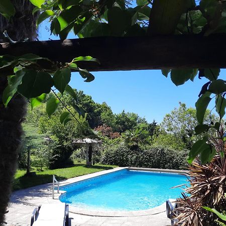 Quinta De Ribas Villa Amarante Ngoại thất bức ảnh