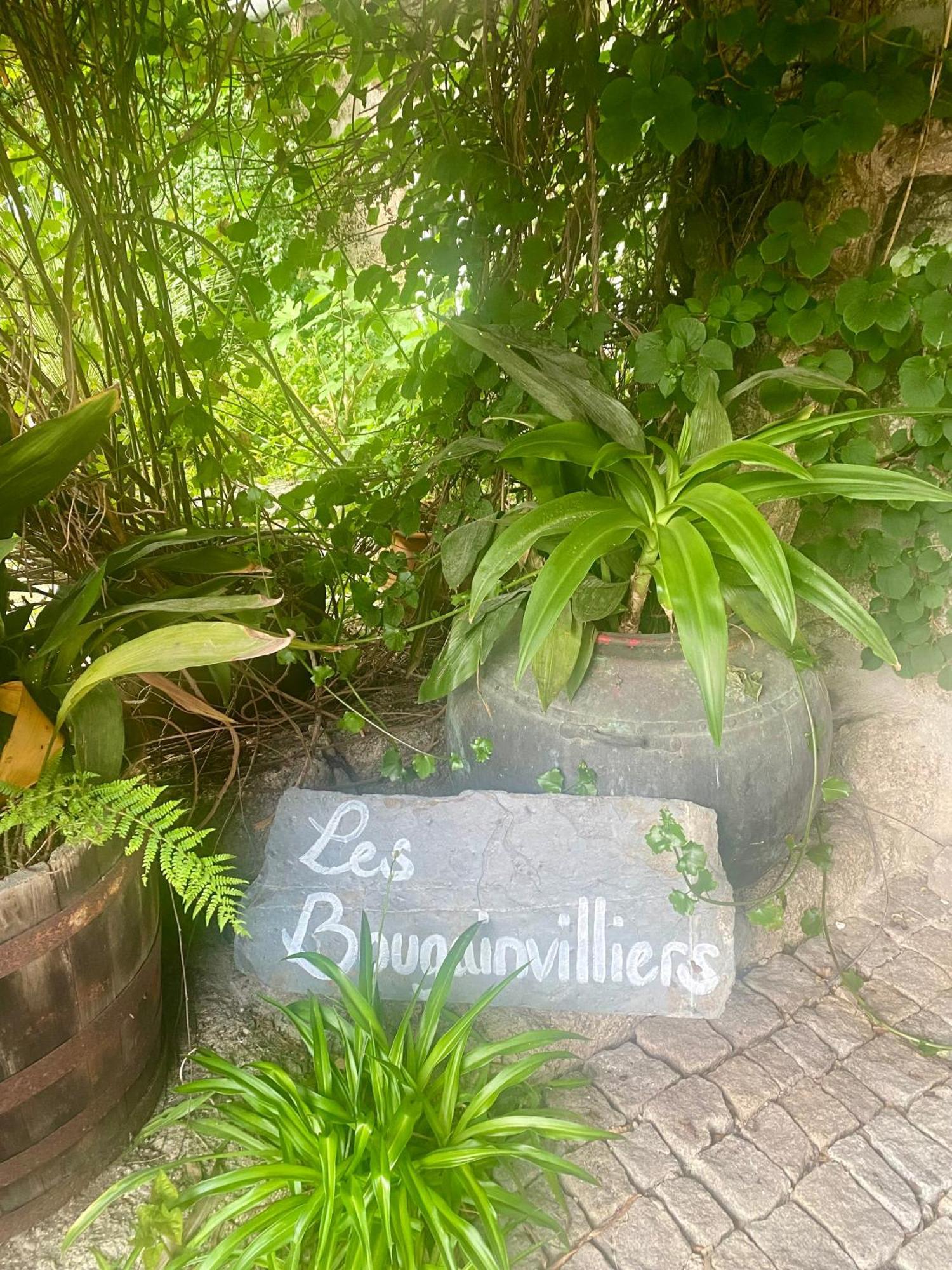 Quinta De Ribas Villa Amarante Ngoại thất bức ảnh