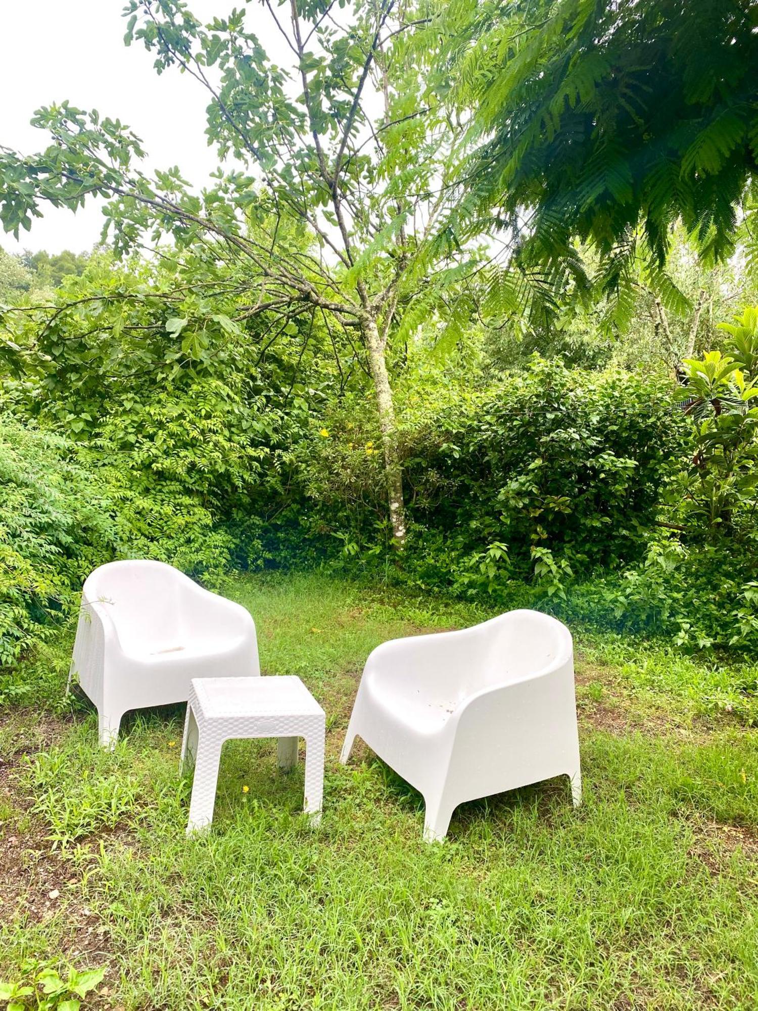 Quinta De Ribas Villa Amarante Ngoại thất bức ảnh