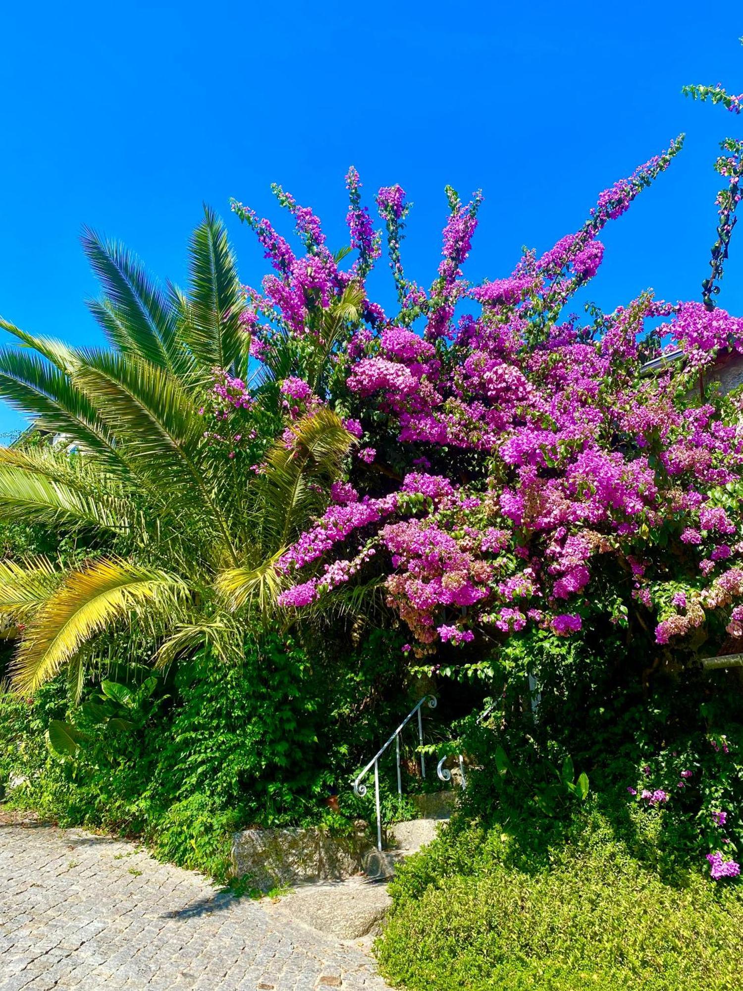 Quinta De Ribas Villa Amarante Ngoại thất bức ảnh