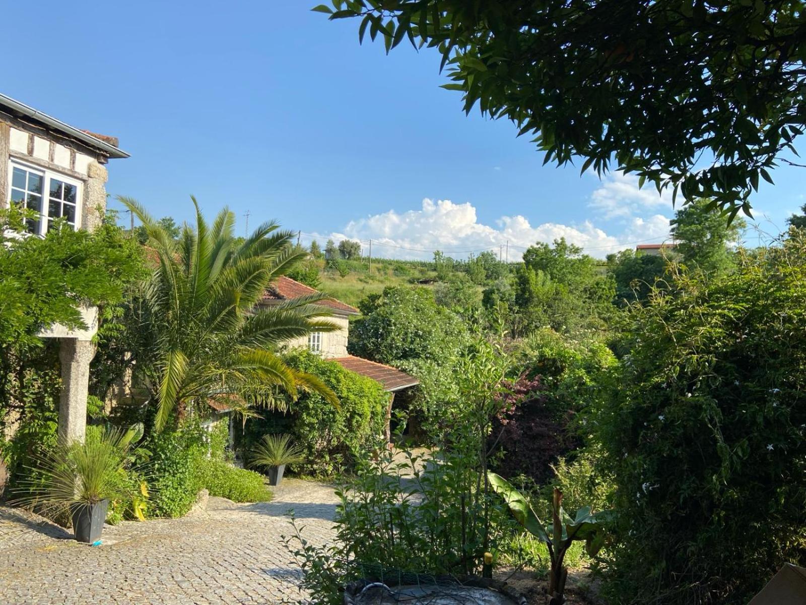 Quinta De Ribas Villa Amarante Ngoại thất bức ảnh