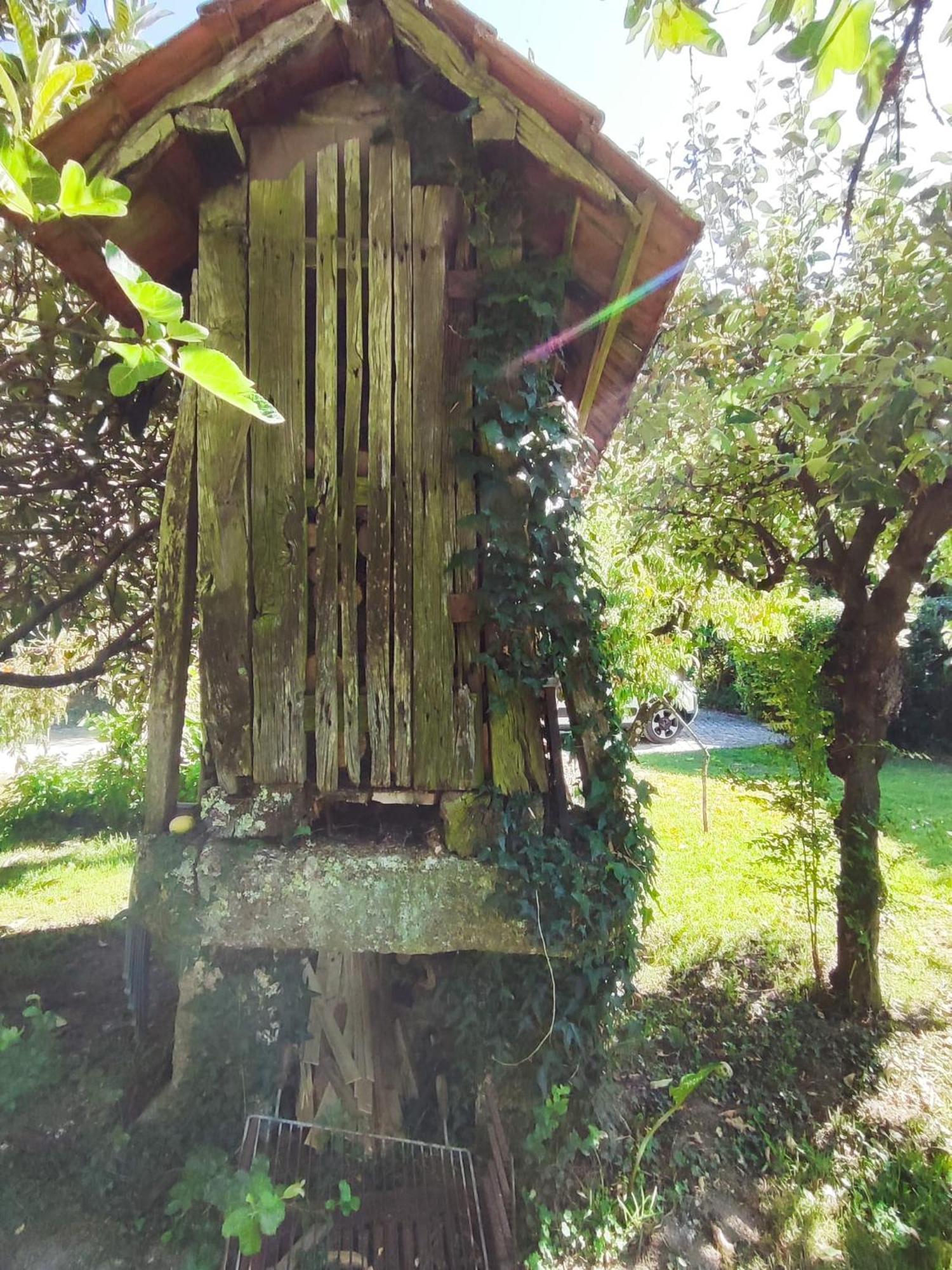 Quinta De Ribas Villa Amarante Ngoại thất bức ảnh