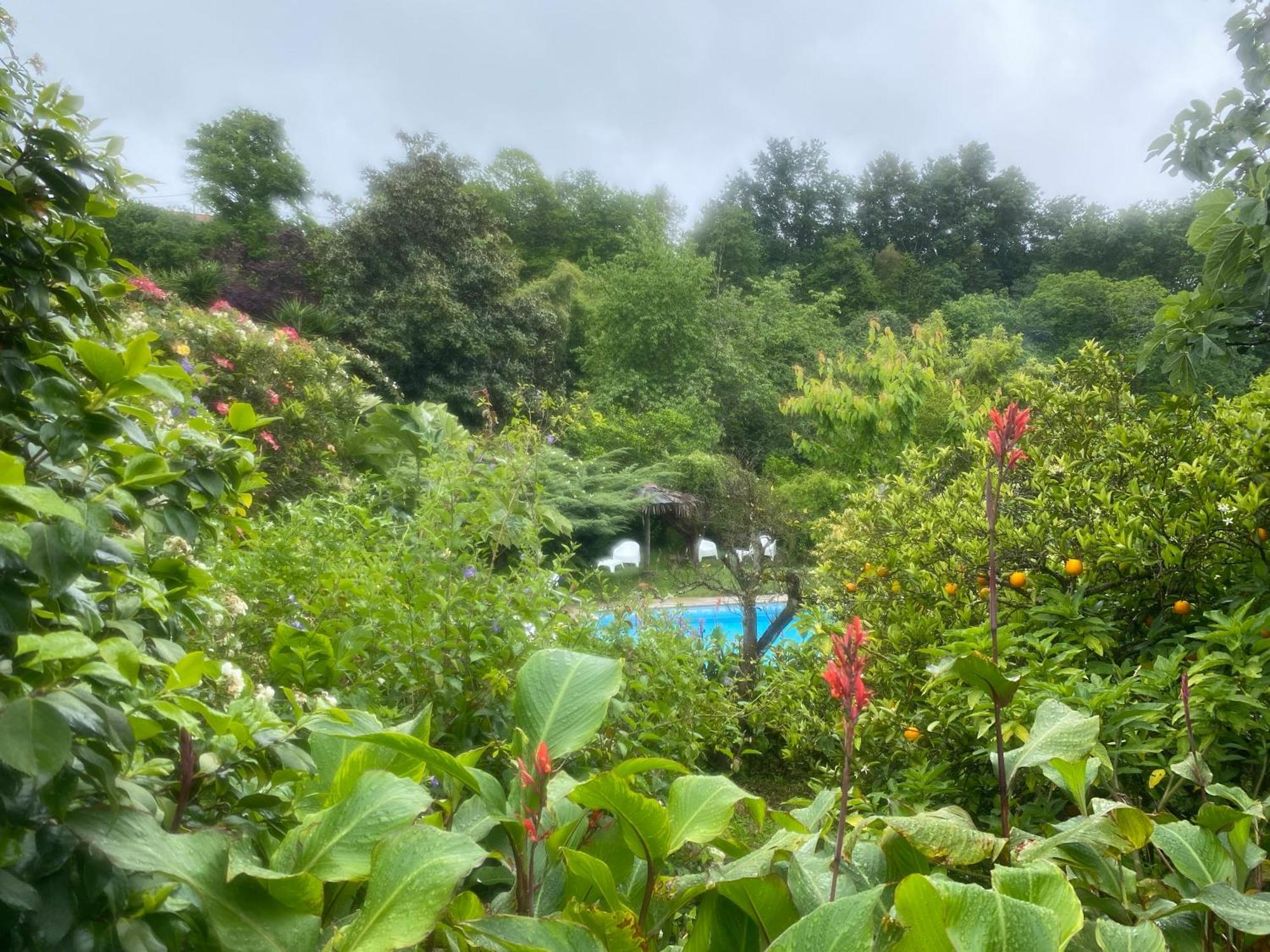 Quinta De Ribas Villa Amarante Ngoại thất bức ảnh