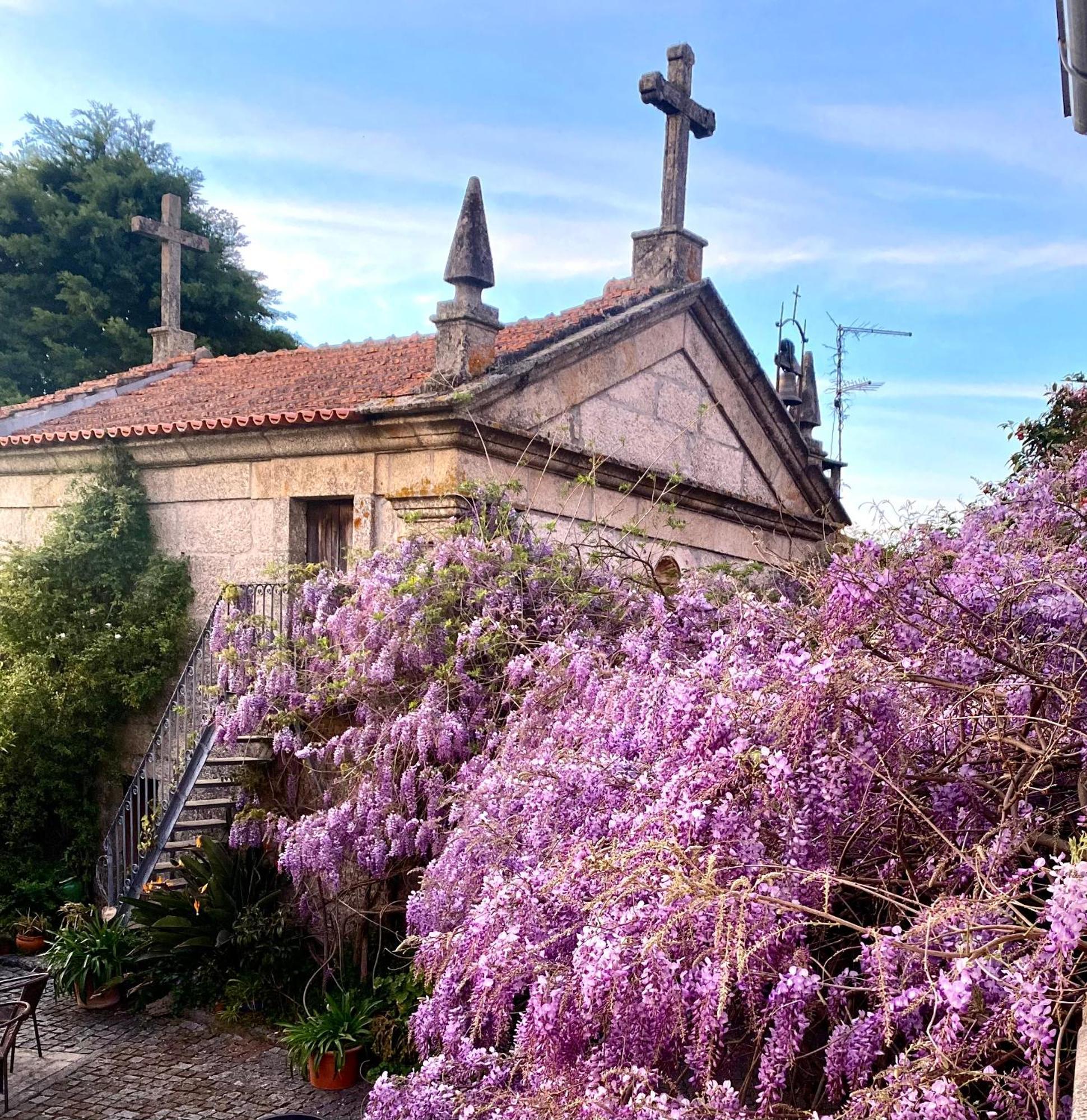 Quinta De Ribas Villa Amarante Ngoại thất bức ảnh