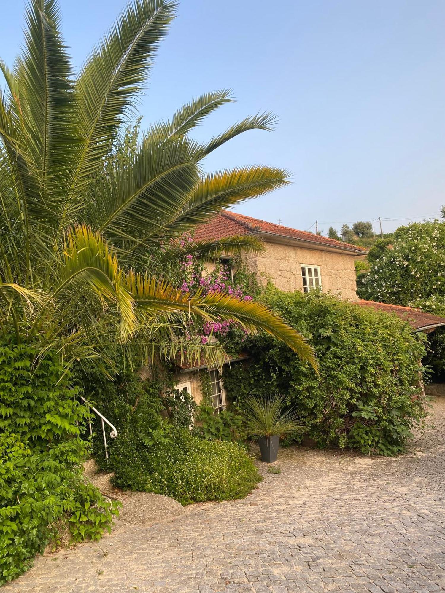Quinta De Ribas Villa Amarante Ngoại thất bức ảnh