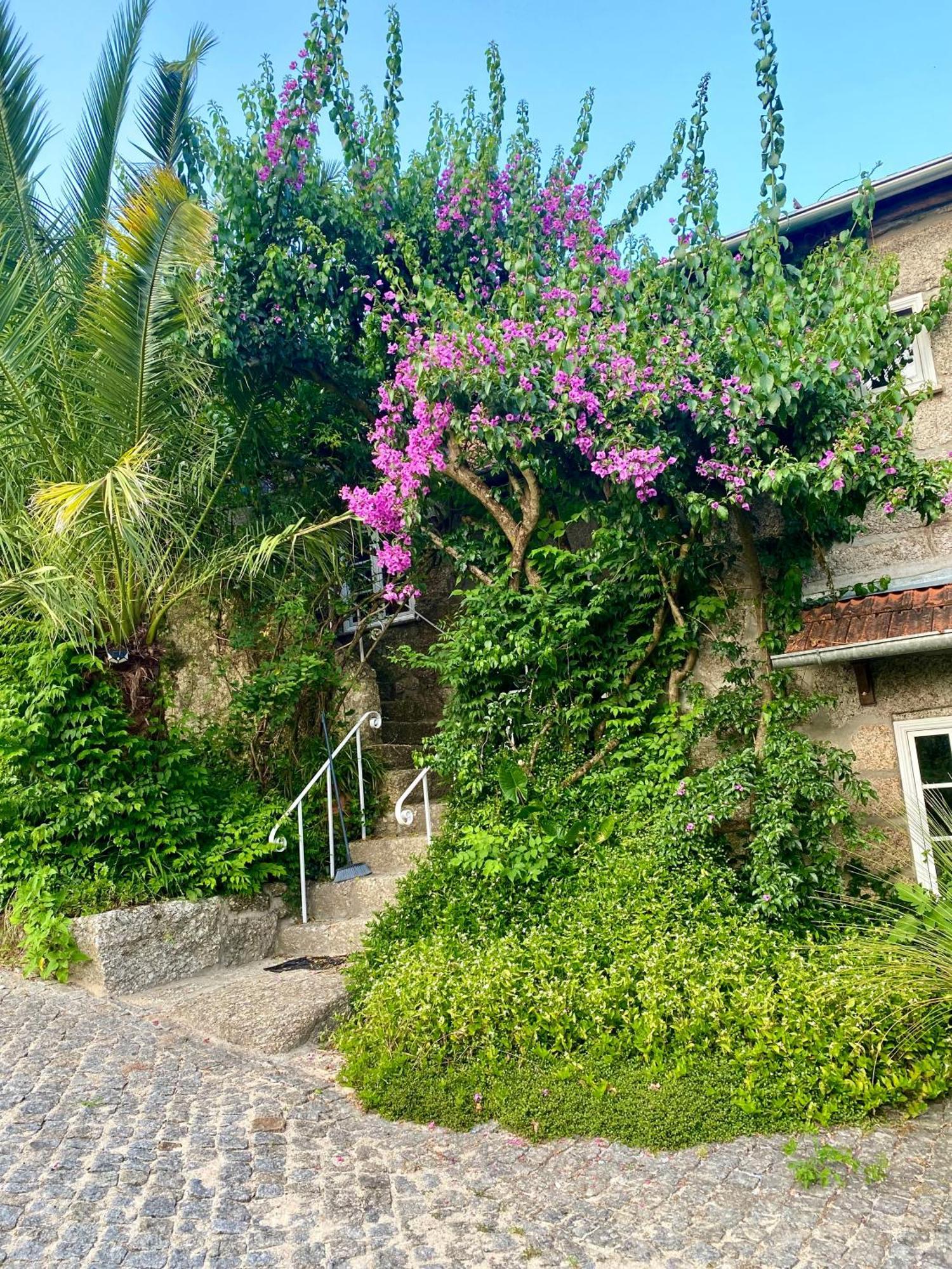 Quinta De Ribas Villa Amarante Ngoại thất bức ảnh