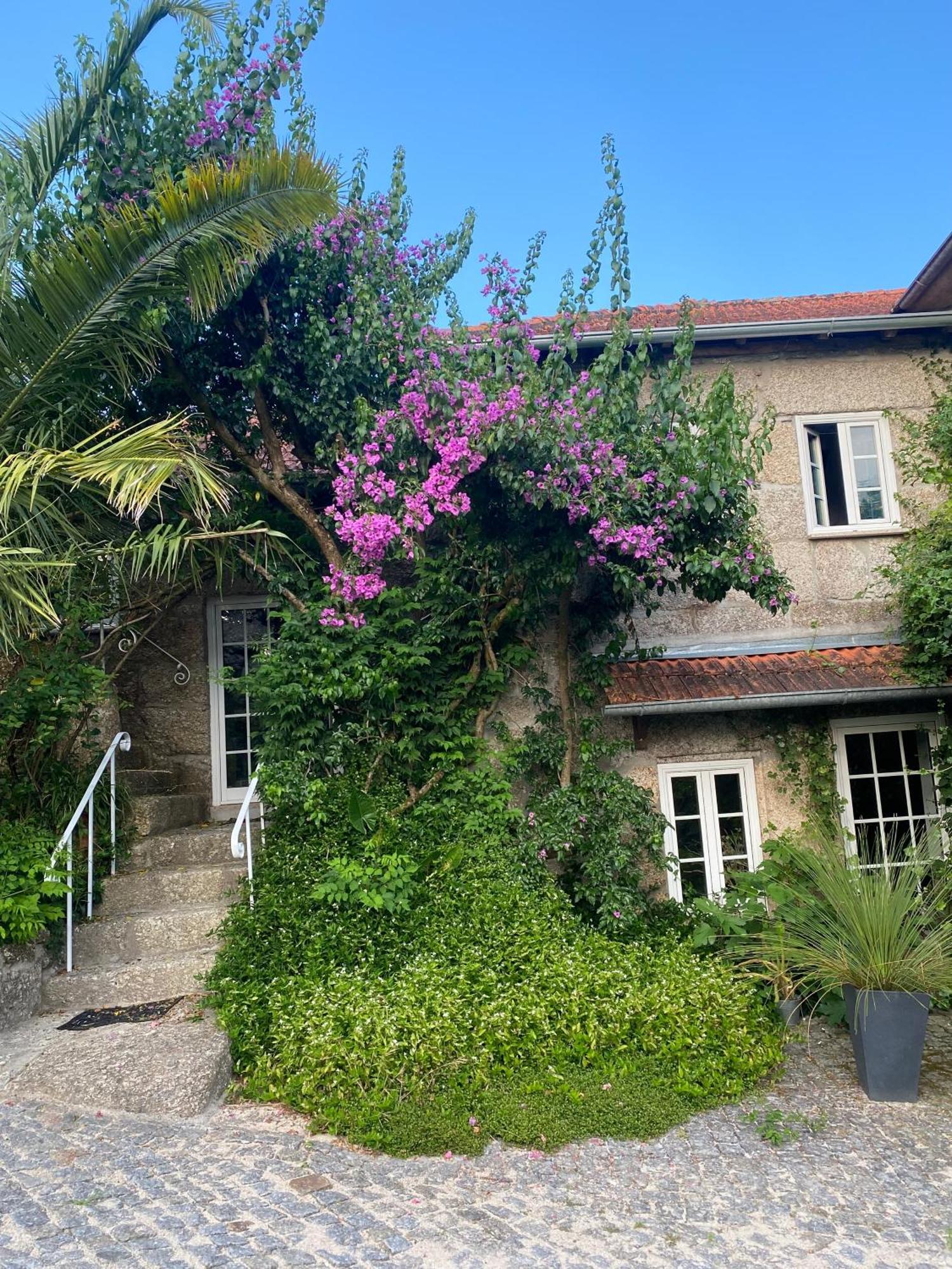 Quinta De Ribas Villa Amarante Ngoại thất bức ảnh