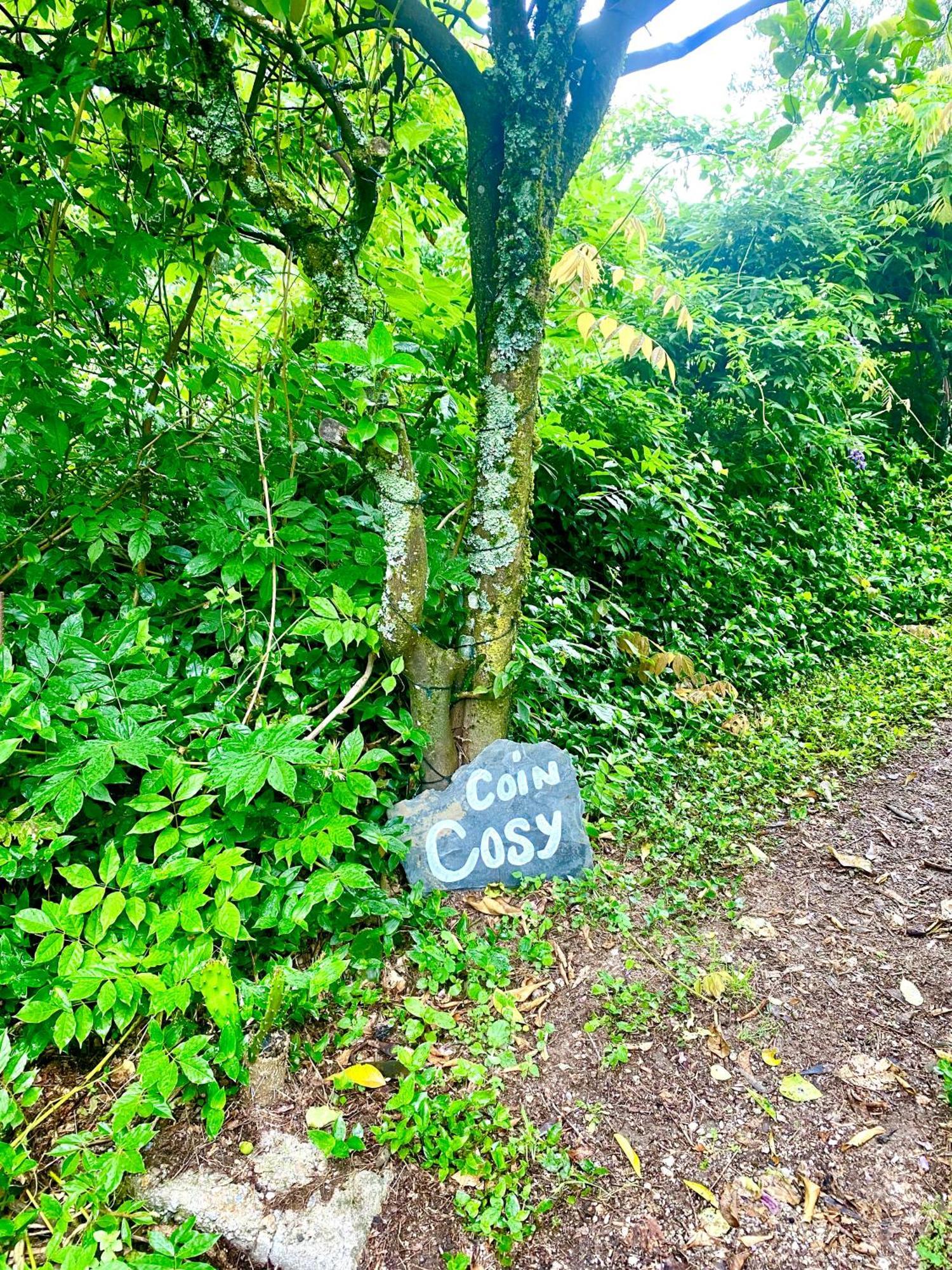 Quinta De Ribas Villa Amarante Ngoại thất bức ảnh